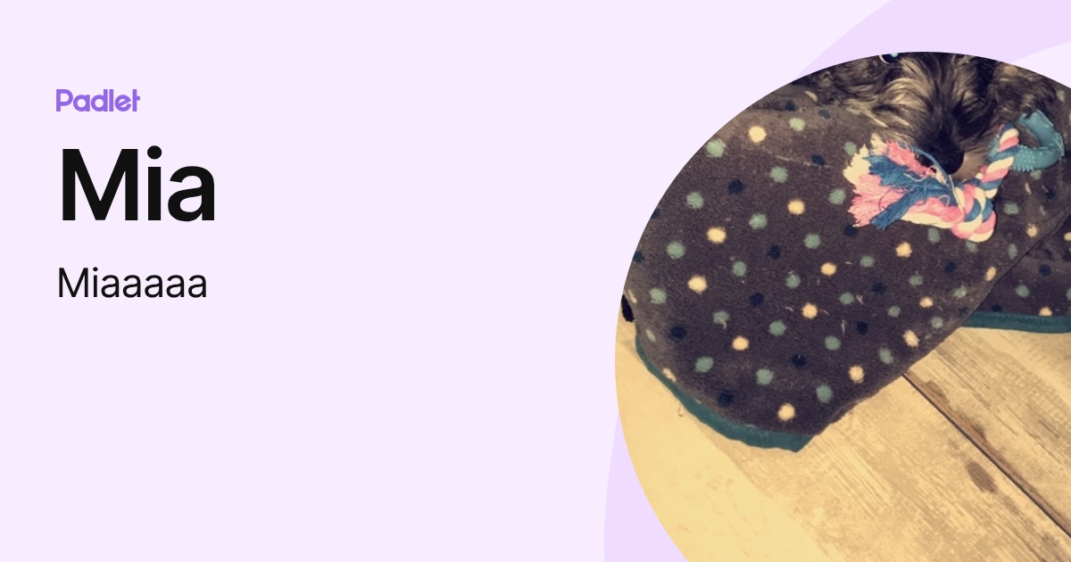 Mia (Miaaaaa) profile | Padlet