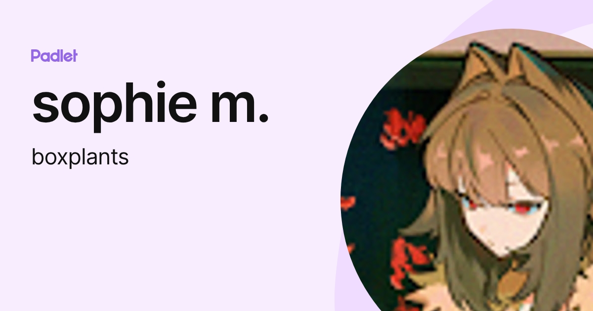 sophie m. (boxplants) profile | Padlet