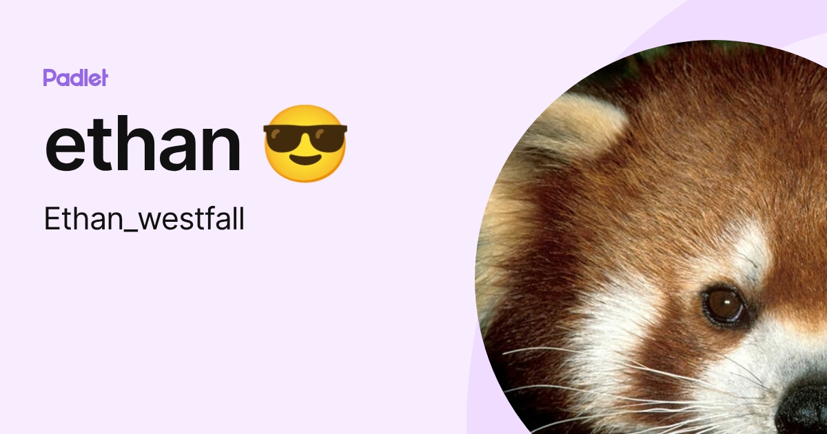 ethan 😎 (Ethan_westfall) profile | Padlet