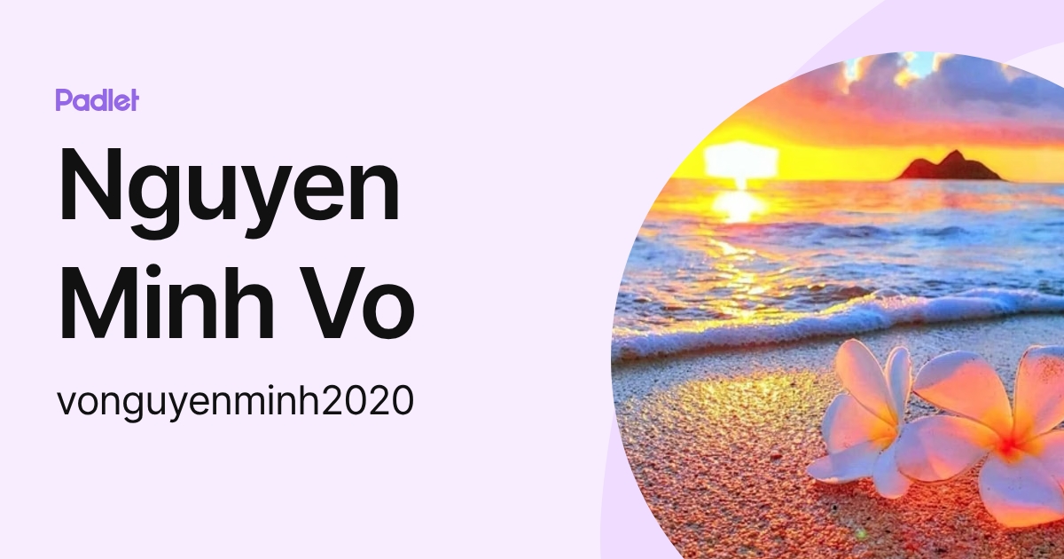 Nguyen Minh Vo (vonguyenminh2020) profile | Padlet