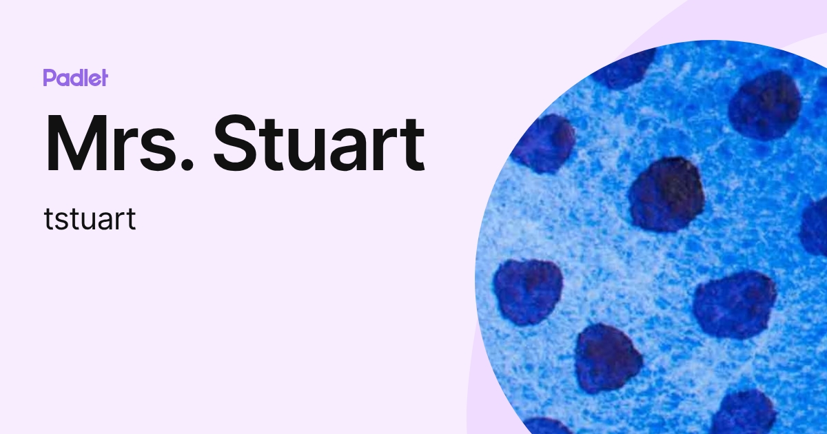 Mrs. Stuart (tstuart) profile | Padlet