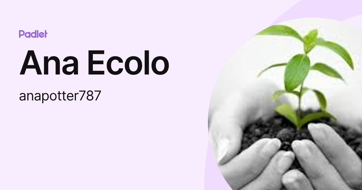 Ana Ecolo (anapotter787) profile | Padlet