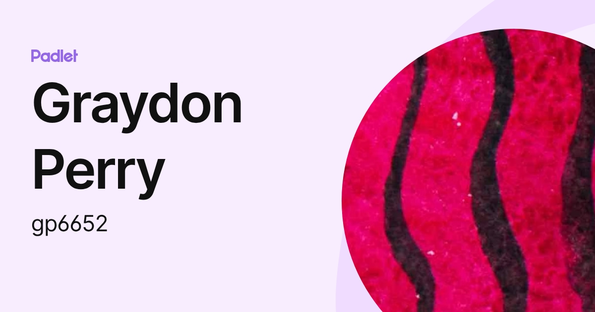 Graydon Perry (gp6652) profile | Padlet