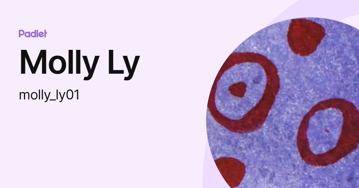 Molly Ly (molly_ly01) profile | Padlet