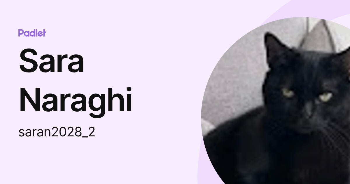Sara Naraghi (saran2028_2) profile | Padlet