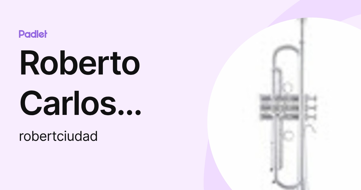 Roberto Carlos Ciudad Alcaide (robertciudad) profile | Padlet