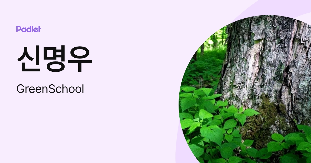 신명우 (GreenSchool) profile | Padlet