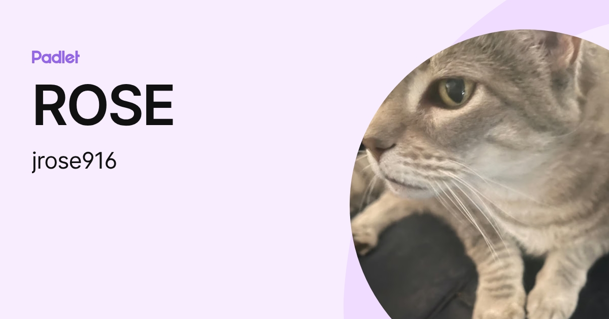 ROSE (jrose916) profile | Padlet
