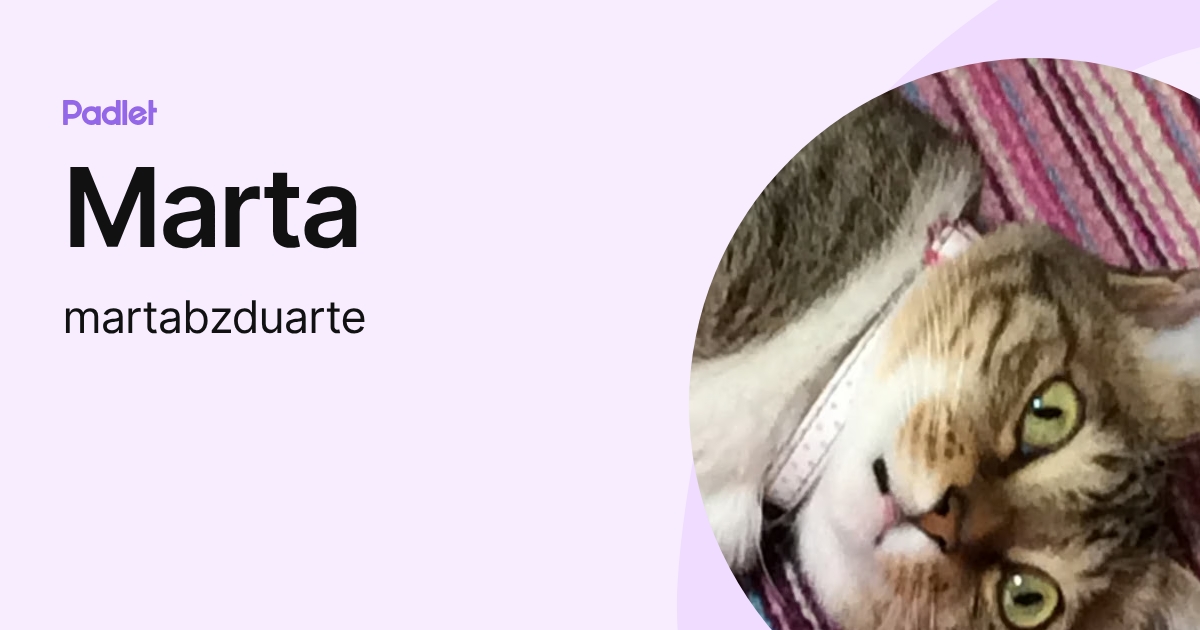 Marta (martabzduarte) profile | Padlet