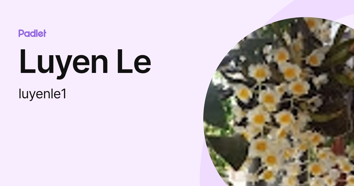 Luyen Le (luyenle1) profile | Padlet