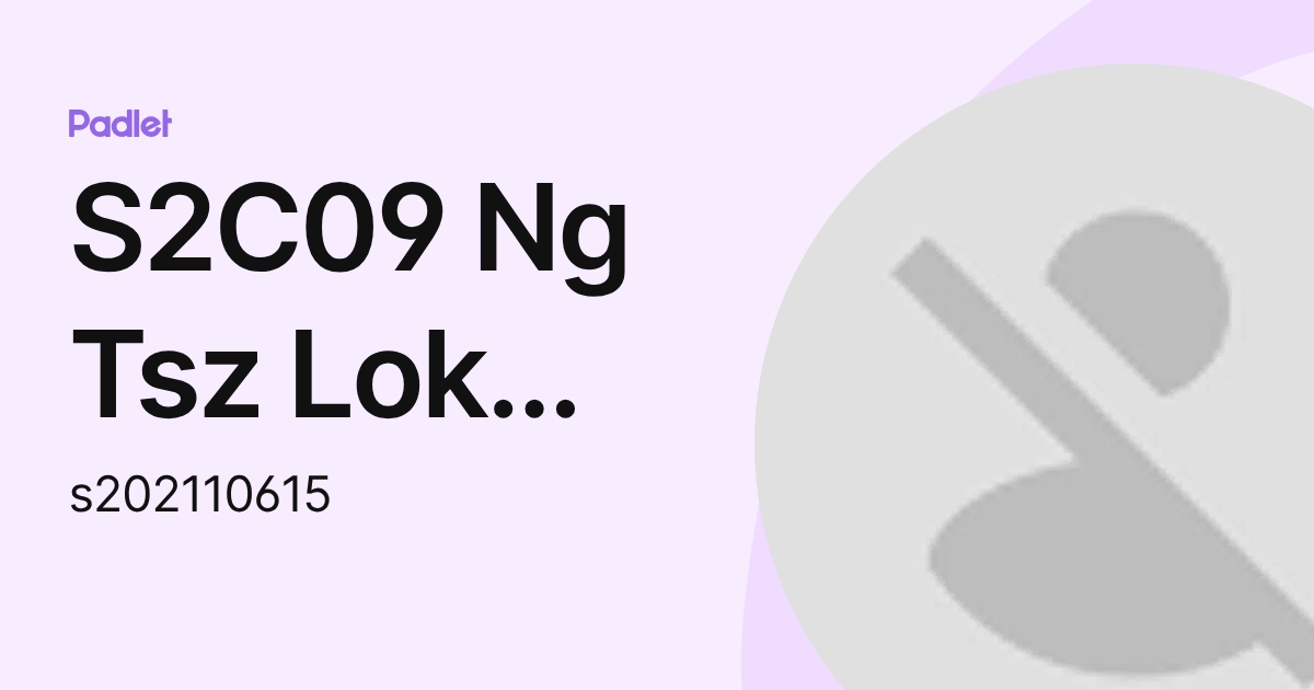 S2C09 Ng Tsz Lok Matthew (s202110615) profile | Padlet