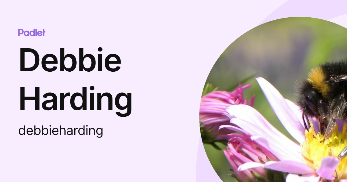 Debbie Harding (debbieharding) profile | Padlet