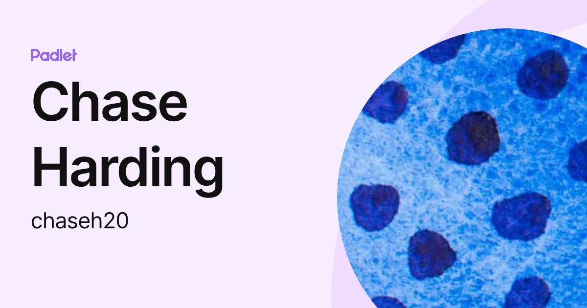 Chase Harding (chaseh20) profile | Padlet