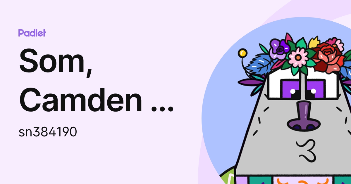 Som, Camden F (STUDENT) (sn384190) profile | Padlet