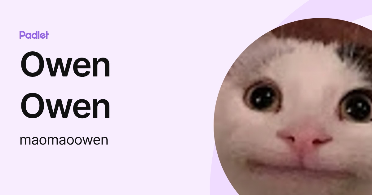 Owen Owen (maomaoowen) profile | Padlet