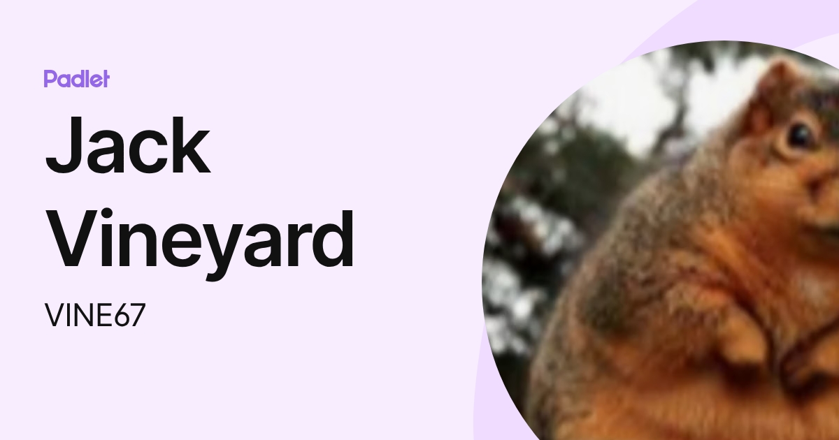 Jack Vineyard (VINE67) profile | Padlet