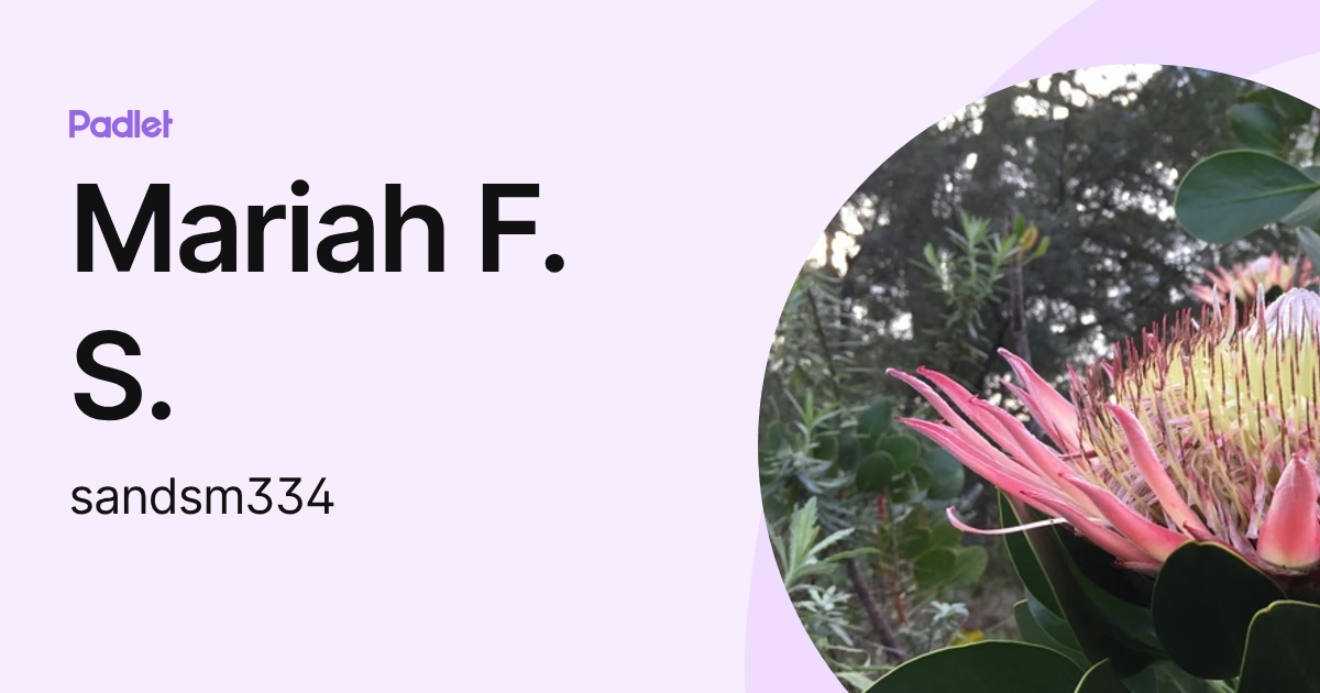 Mariah F. S. (sandsm334) profile | Padlet