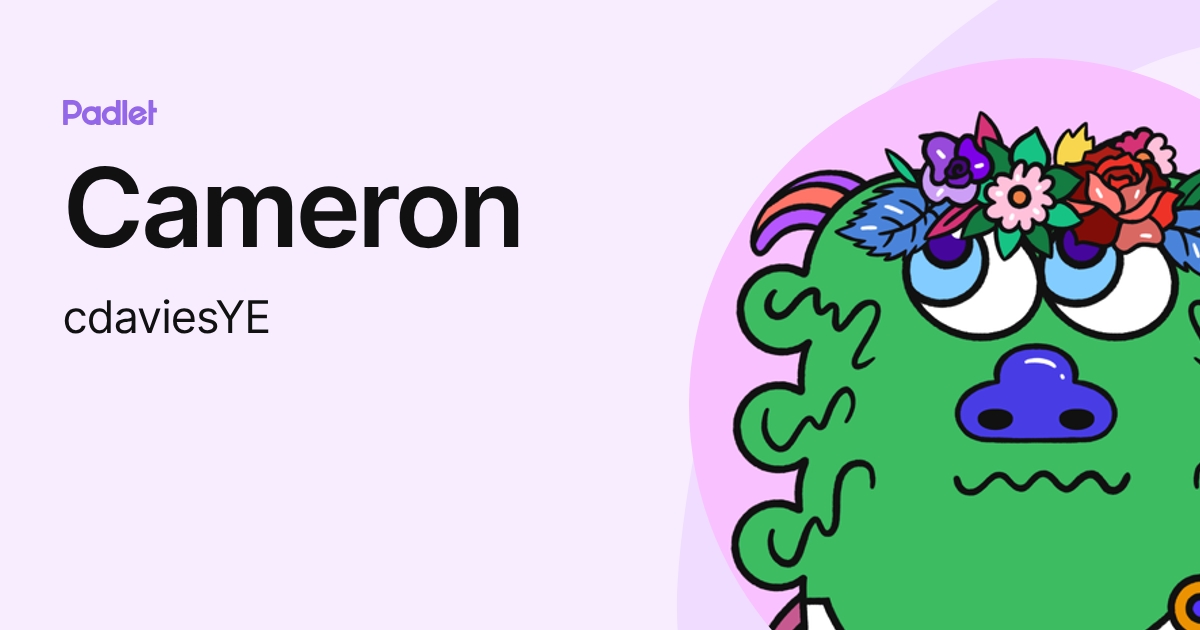 Cameron (cdaviesYE) profile | Padlet