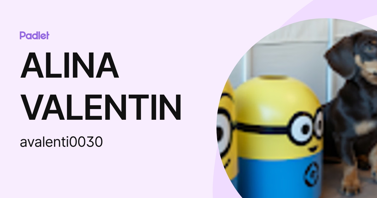 ALINA VALENTIN (avalenti0030) profile | Padlet