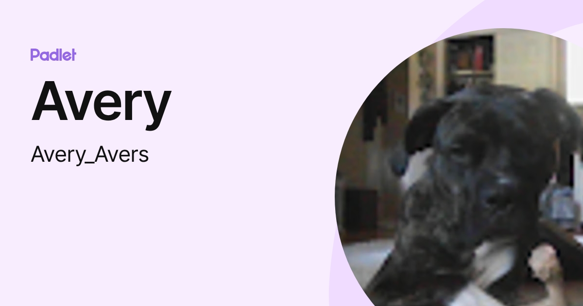 Avery (Avery_Avers) profile | Padlet