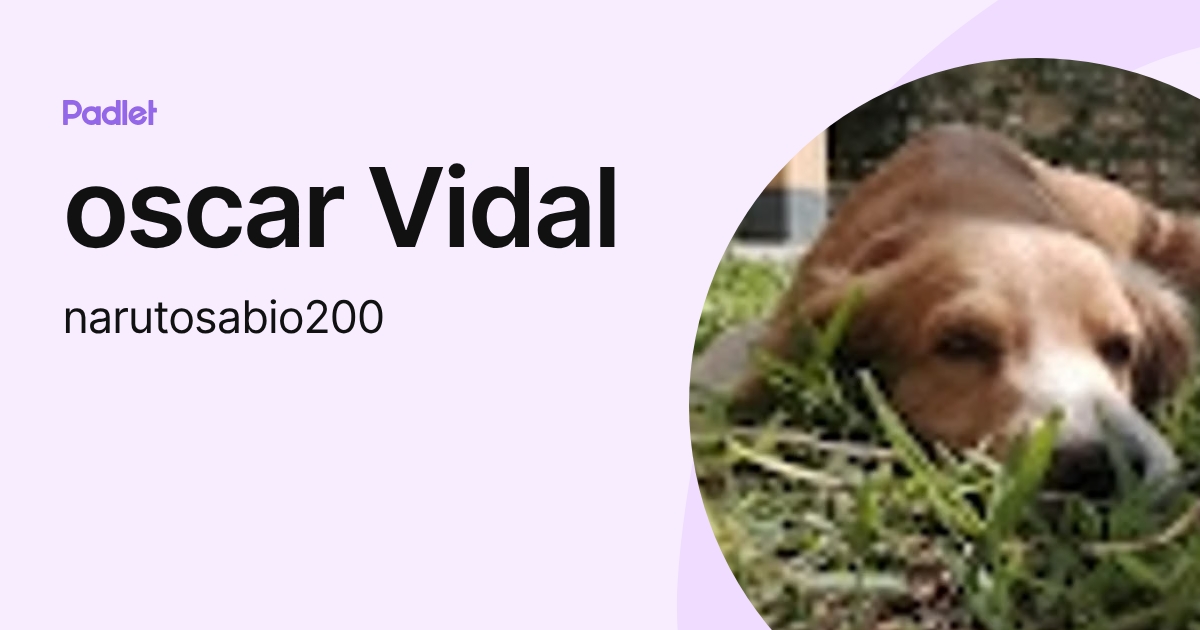 oscar Vidal (narutosabio200) profile | Padlet