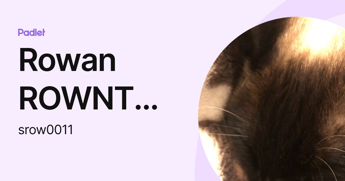 Rowan ROWNTREE (srow0011) profile | Padlet