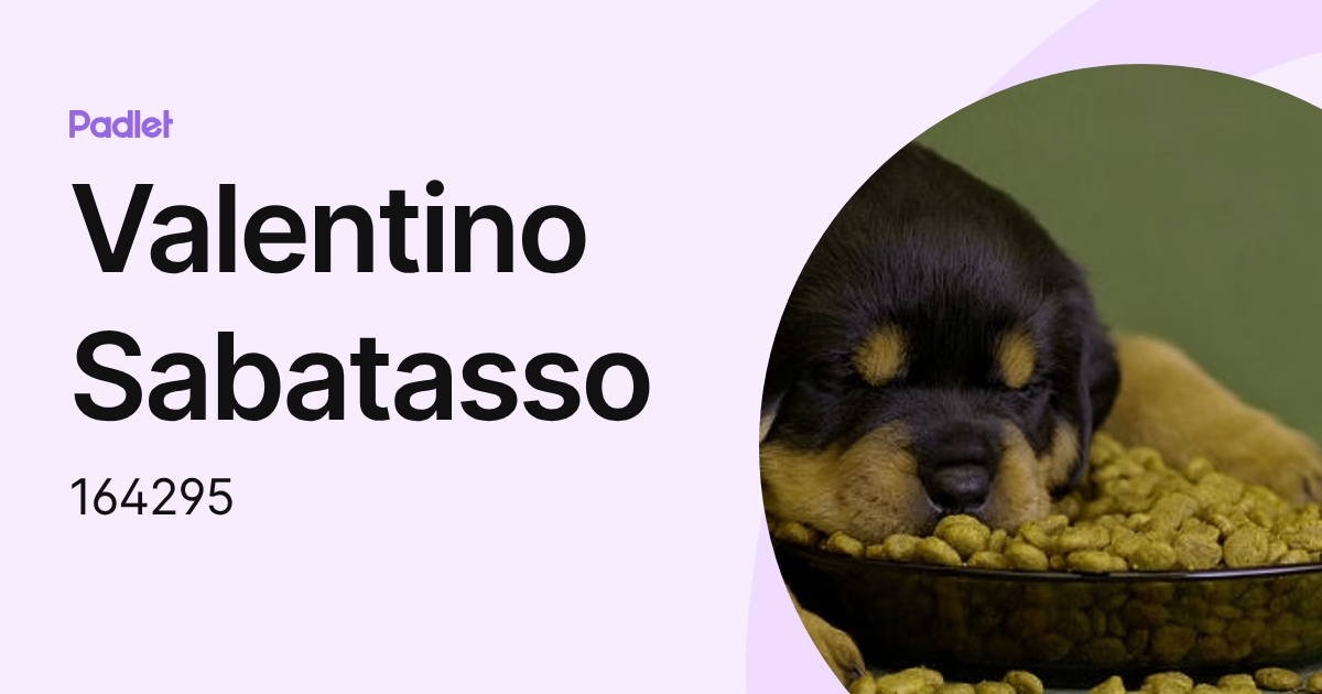 Valentino Sabatasso (164295) profile | Padlet