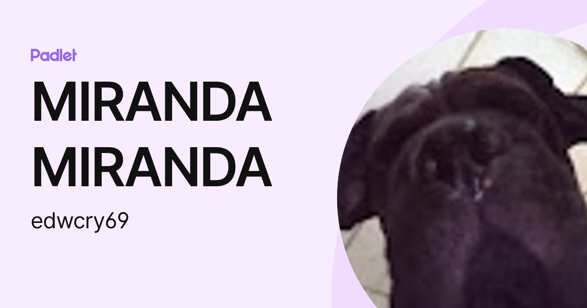 MIRANDA MIRANDA (edwcry69) profile | Padlet