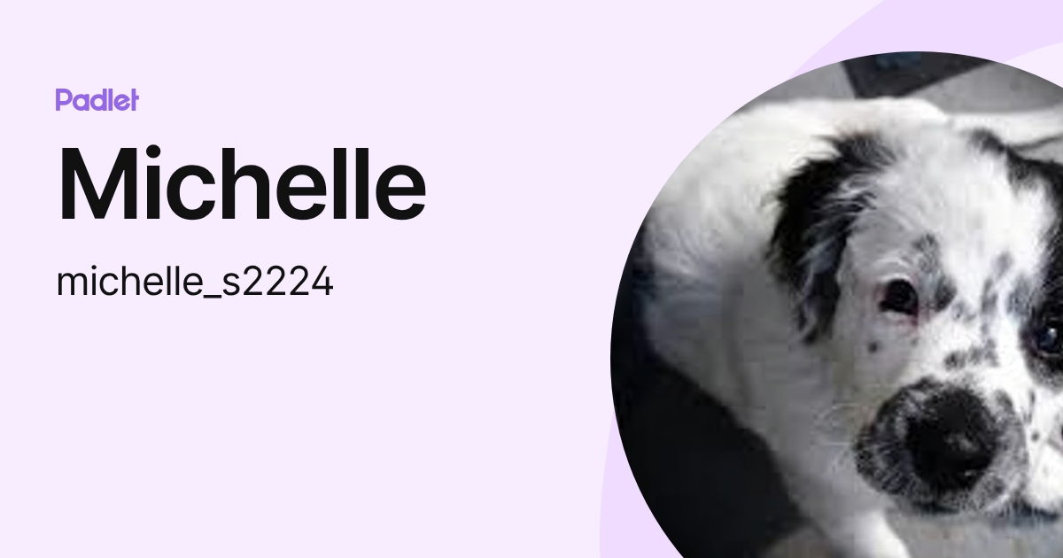 Michelle (michelle_s2224) profile | Padlet