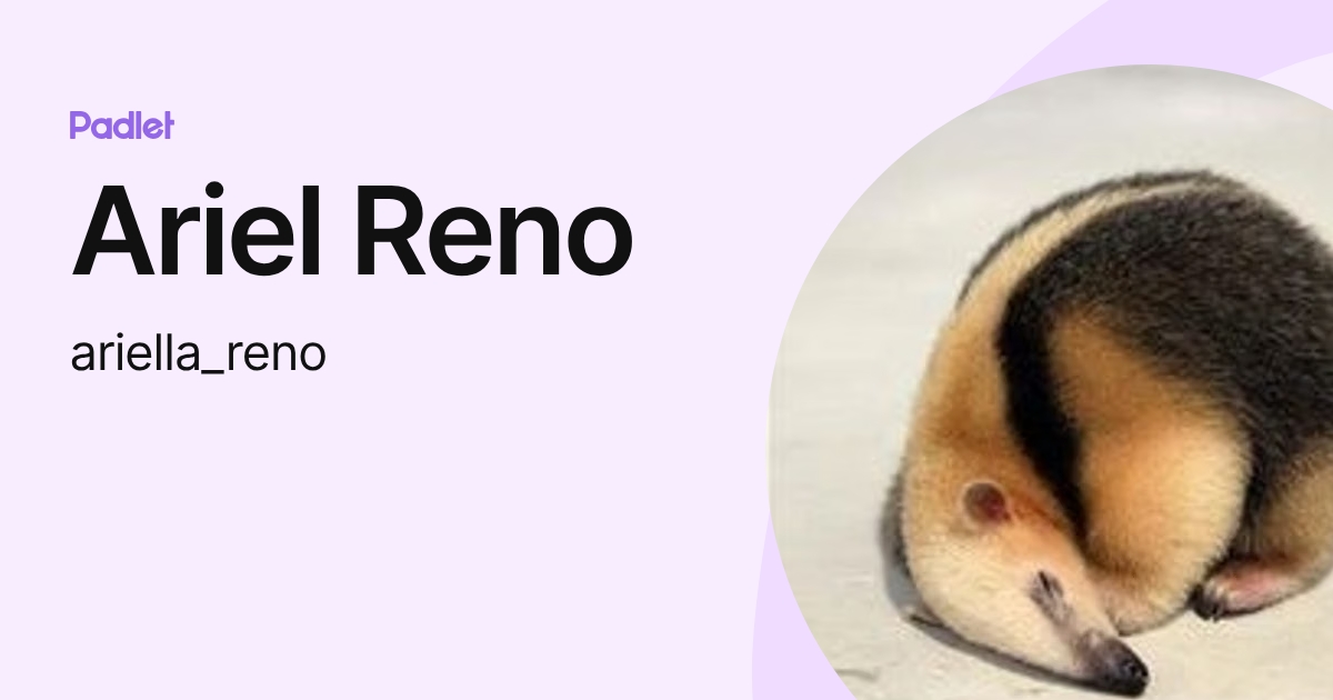 Ariel Reno (ariella_reno) profile | Padlet