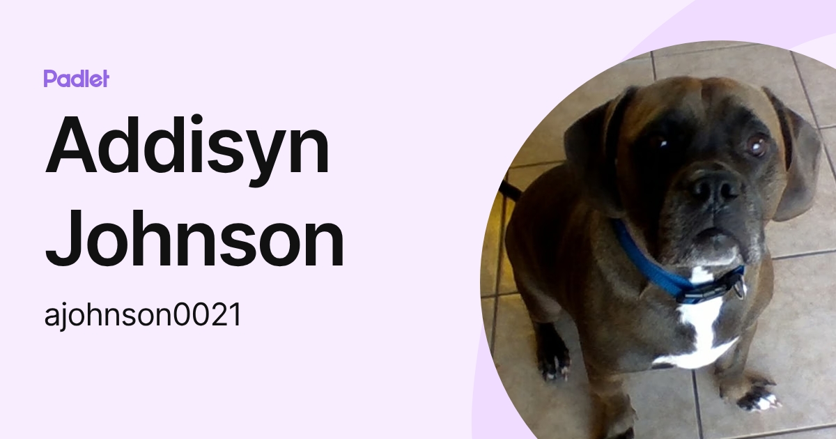 Addisyn Johnson (ajohnson0021) profile | Padlet