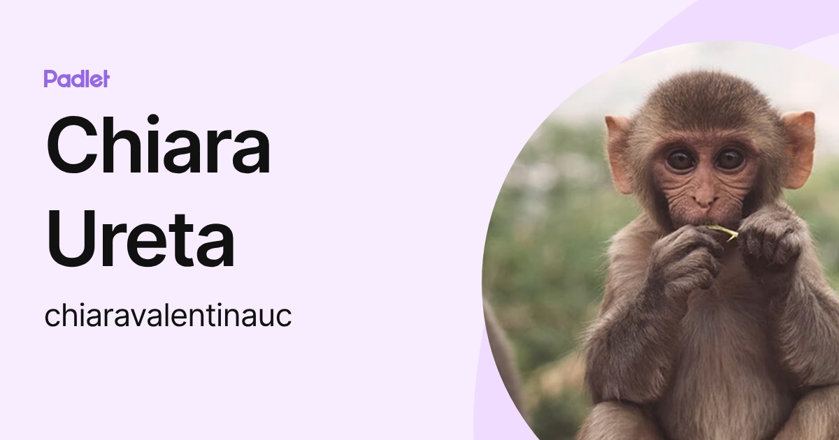 Chiara Ureta (chiaravalentinauc) profile | Padlet