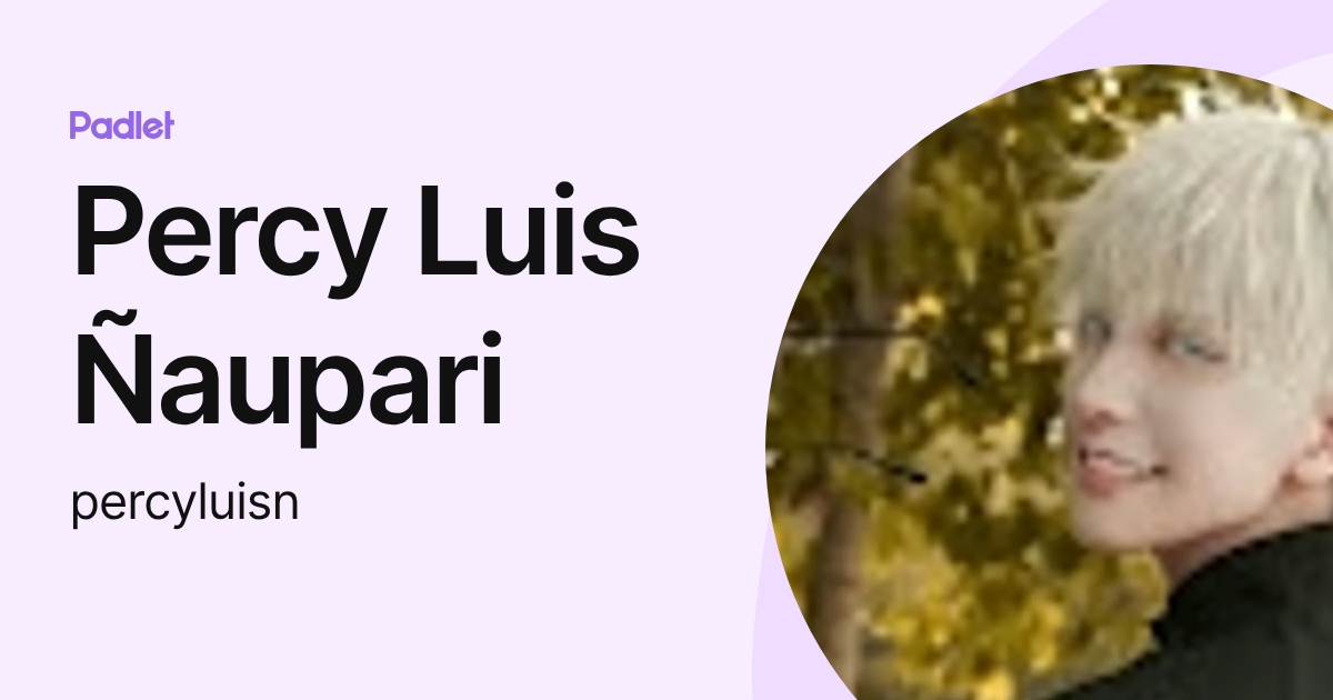 Percy Luis Ñaupari (percyluisn) profile | Padlet
