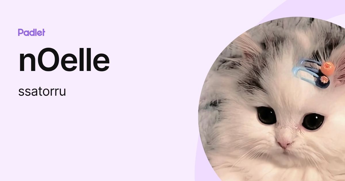 nOelle (ssatorru) profile | Padlet