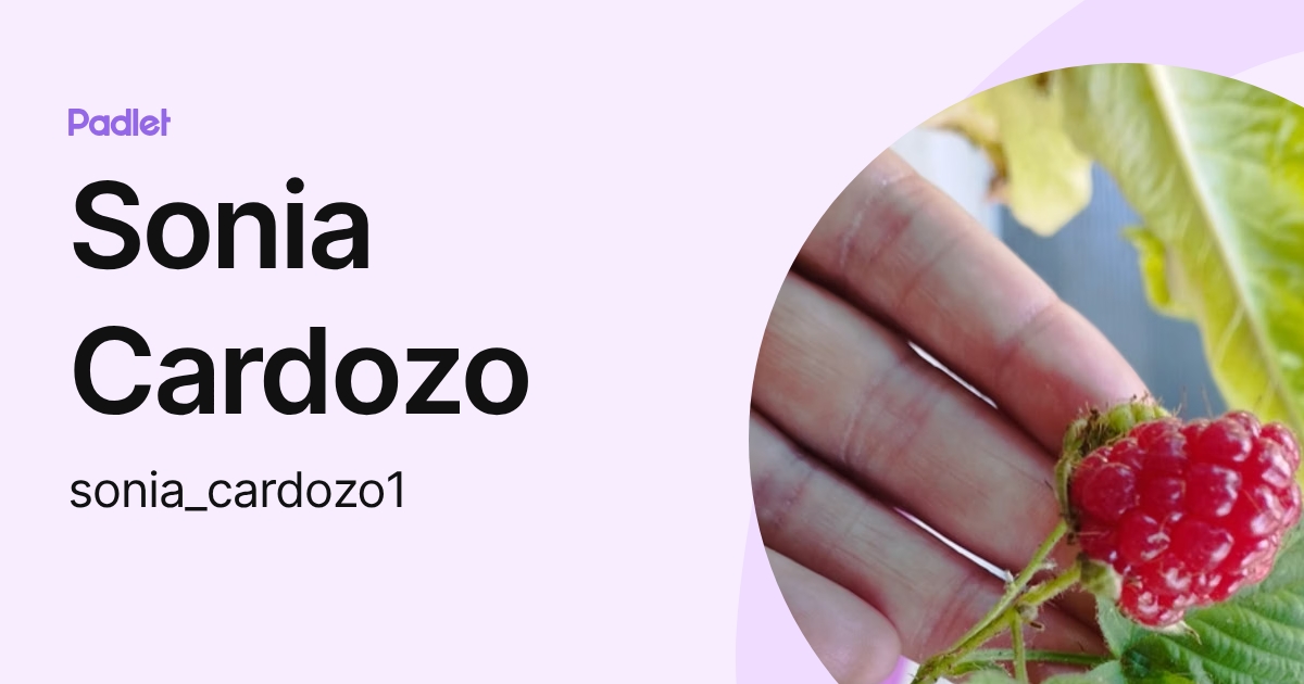 Sonia Cardozo (sonia_cardozo1) profile | Padlet