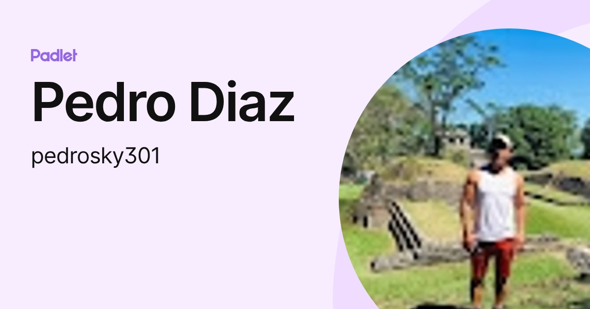 Pedro Diaz (pedrosky301) profile | Padlet