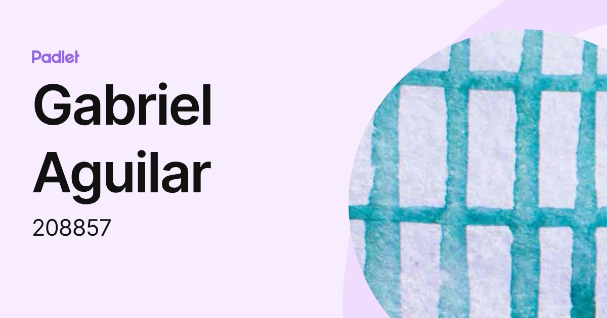 Gabriel Aguilar (208857) profile | Padlet
