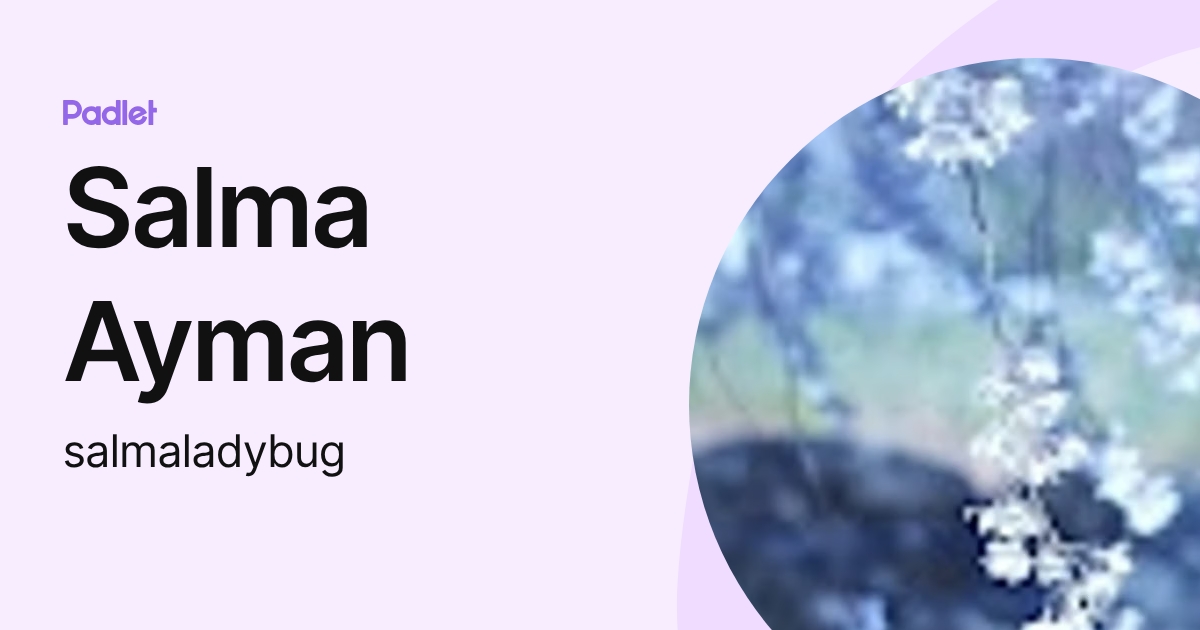 Salma Ayman (salmaladybug) profile | Padlet