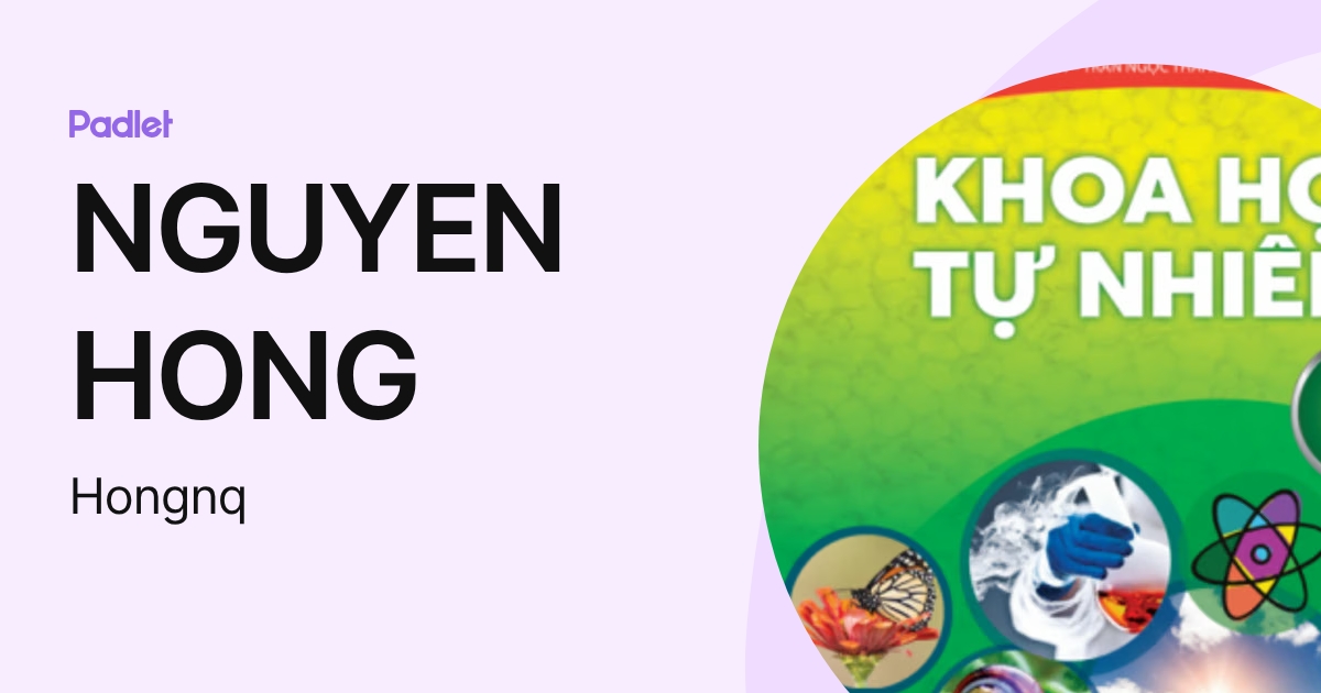 NGUYEN HONG (Hongnq) profile | Padlet