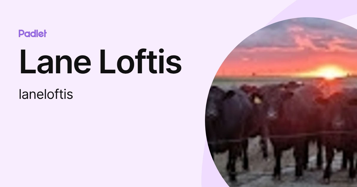 Lane Loftis (laneloftis) profile | Padlet