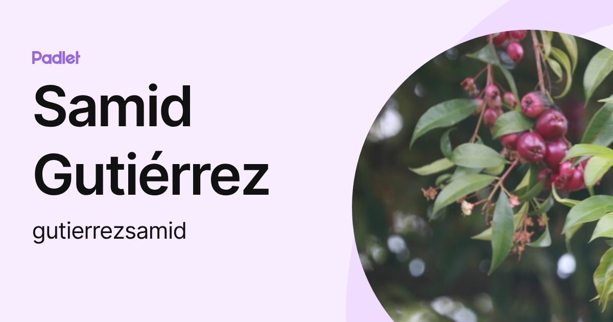 Samid Gutiérrez (gutierrezsamid) profile | Padlet