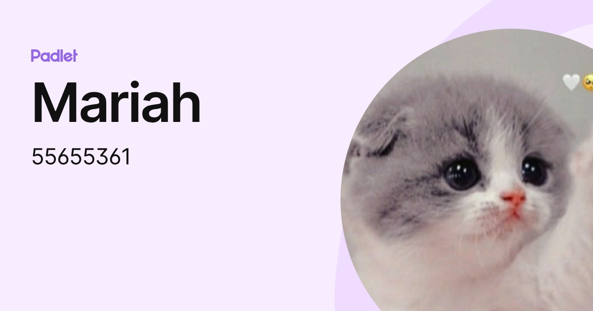 Mariah (55655361) profile | Padlet
