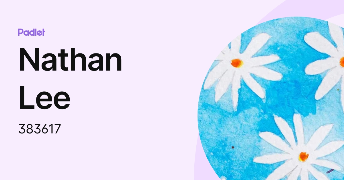 Nathan Lee (383617) profile | Padlet