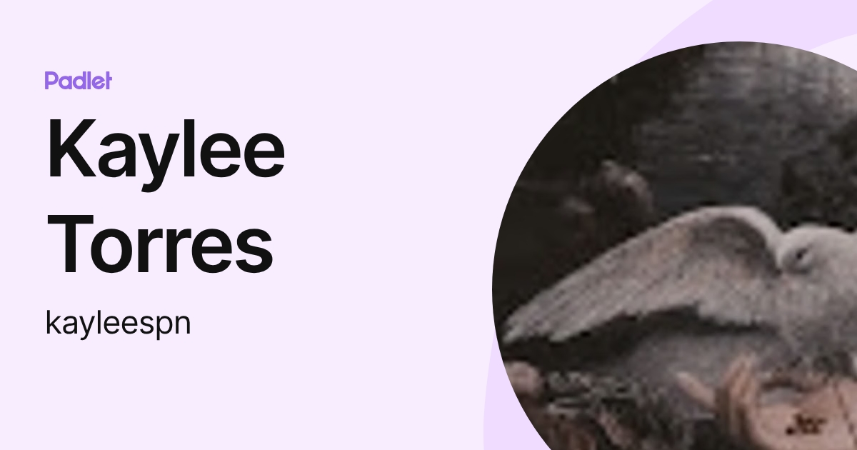 Kaylee Torres (kayleespn) profile | Padlet
