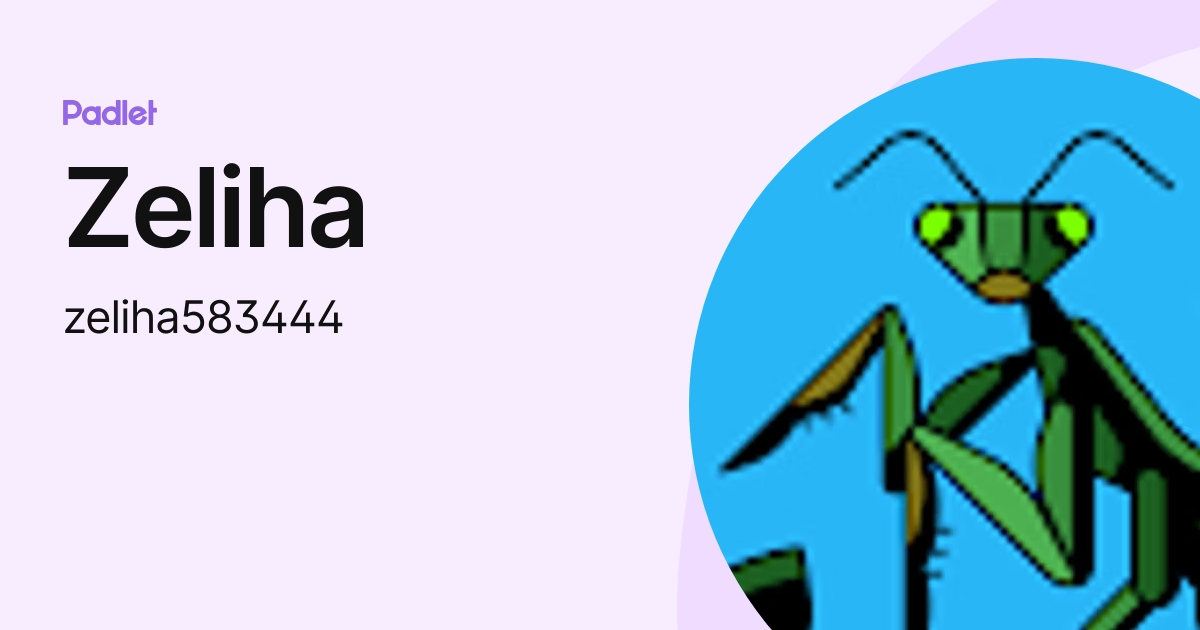 Zeliha (zeliha583444) profile Padlet