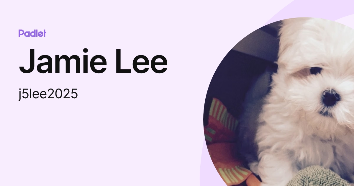 Jamie Lee (j5lee2025) profile | Padlet