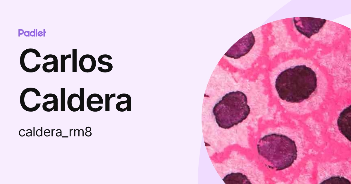 Carlos Caldera (caldera_rm8) profile | Padlet