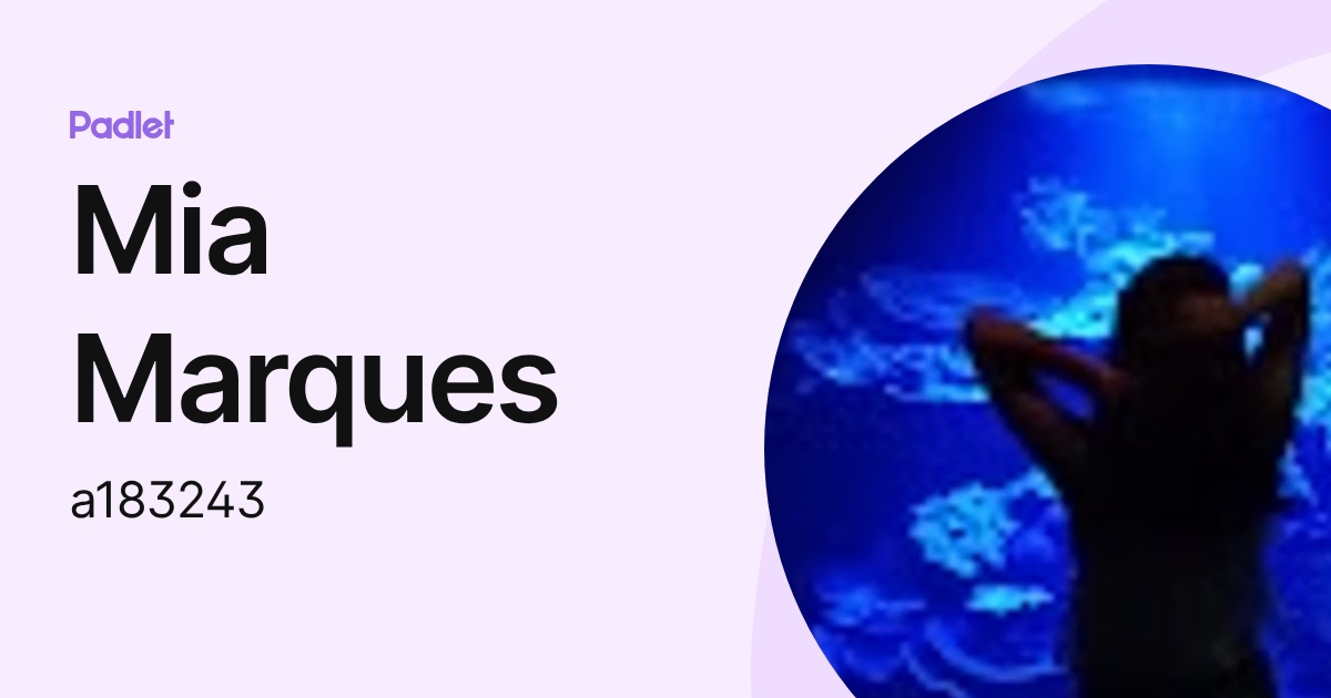 Mia Marques (a183243) profile | Padlet
