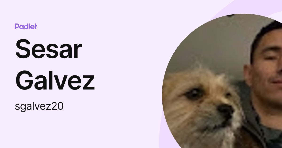 Sesar Galvez (sgalvez20) profile | Padlet