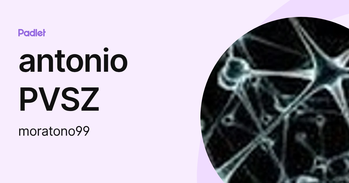 antonio PVSZ (moratono99) profile | Padlet